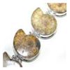 Image 1 : Ammonite Bracelet