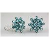 Image 1 : 60.05CTW Flower Blue Zircon Cluster Silver Earring