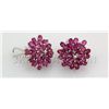 Image 1 : 48.96CTW Flower Cluster Pink Ruby Silver Earring