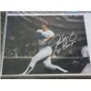 Image 1 : Autographed picture Dodgers, Steve Yeager