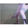 Image 2 : Autographed picture Dodgers, Steve Sax