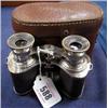 Image 1 : A pair of snake skin binoculars....