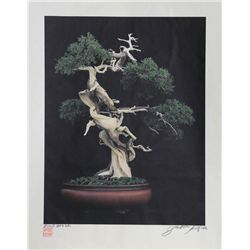 Jonathan Singer, Bonsai, Digital Photograph