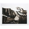 Image 1 : Victor Delfin, Condor II, Etching