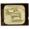 Image 1 : Colorado Glass Slide CO - ,Pikes Peak -  -