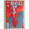 Image 1 : Invincible