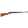 Image 1 : Excellent Winchester Model 64 Lever Action Rifle