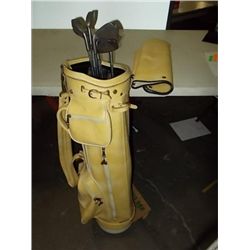 Ladies Gold Clubs (Nancy Lopez) Set of Nancy Lopez Ladies Gold Clubs Pitching Wedge, 3-4-5-6-7-8-9-I