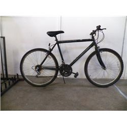 Roadmaster Mt. Fury 15 Speed 24"