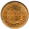 Image 2 : 1876 Indian Head 1C