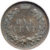Image 2 : 1881 Indian Head 1C NGC PF66 BR