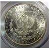Image 3 : 1883CC MORGAN DOLLAR PCGS MS65 GEM
