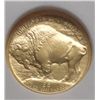 Image 3 : 2008 W BUFFALO $5.00 GOLD EARLY RELEASE NGC MS70! EST. $675.00-$720.00