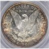Image 3 : 1891 MORGAN DOLLAR PCGS MS63 NICE!