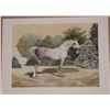 Image 1 : Mel Hunter, Arabian, Signed Lithograph