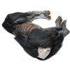 Image 2 : Howling IV: The Original Nightmare - Werewolf Body
