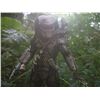 Image 8 : Predator - Predator's Gauntlet Blade, Disc & Netting