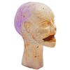 Image 2 : Puppet Master III: Toulon's Revenge - Leech Woman Test Head