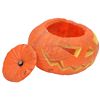 Image 5 : Sleepy Hollow - Pumpkin Prop