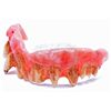 Image 2 : Star Trek: Enterprise (television) - Klingon Teeth