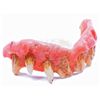 Image 3 : Star Trek: Enterprise (television) - Klingon Teeth