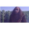 Image 5 : Star Trek: Enterprise (television) - Klingon Teeth