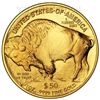 Image 1 : One Ounce 2009 Gold Buffalo Coin Uncirculated