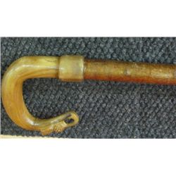 Shepherd's Walking Stick