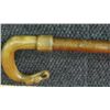 Image 1 : Shepherd's Walking Stick