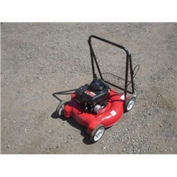 MTD 20" Gas Mower