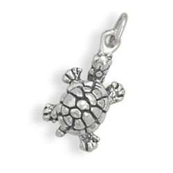 Small Turtle Charm