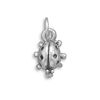 Image 1 : Small Ladybug Charm