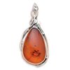 Image 1 : Extra Large Baltic Amber Pendant