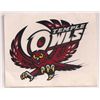 Image 1 : Vintage Temple Owls Window Sticker