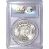 Image 4 : 1884-O MORGAN SILVER DOLLAR MS64+ PCGS