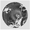 Image 1 : Marcel Jean Original Etching