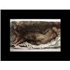 Image 1 : Rembrandt Erotic Sketch Lithograph