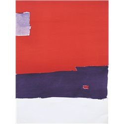 Nicholas De Stael Pochoir | Tachisme