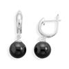 Image 1 : Black Agate Hinged Hoops