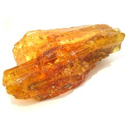 1015ct Natural Peru Amber Rough HUGE w/Insects! (MIN-000931)