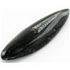 Image 1 : 44gm Polished Orthoceras Large Fossil (MIN-001974)