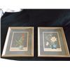 Two Vintage Pictures of Flowers #45/51 Framed very nice and very old signed Goes