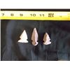 Image 1 : 3 Indian Arrow Heads