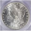 Image 2 : 1884-O MS64+ MORGAN SILVER  DOLLAR PCGS