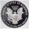 Image 3 : 2002-W SILVER AMERICAN EAGLE PF-70 ULTRA CAMEO