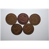 Image 2 : 1895-1899 Indian Head One Cent; Consecutive Years; Lot of 5; EST. $5-15