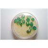 Image 1 : Oval-Shaped Green Colored Gemstones; Lot of 14; EST. $10-20