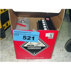 Power sport battery