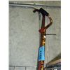 Image 1 : 2 walking sticks