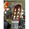 Image 2 : Meiyin accoustic guitar with brown hard shell
